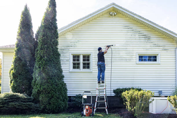 Best Roof Washing  in Palm Valley, FL